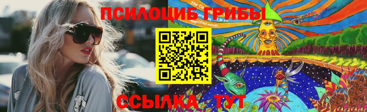 Псилоцибиновые грибы GOLDEN TEACHER  Вход с VPN  Балашов 